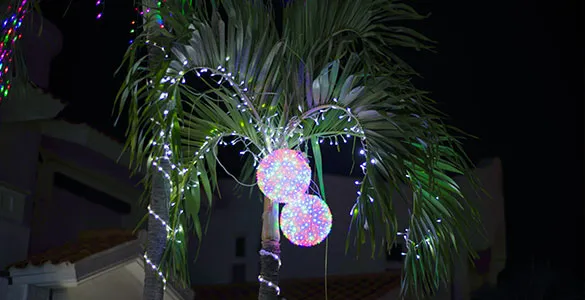 why-an-all-inclusive-hawaii-vacation-package-is-the-ultimate-christmas-gift-mid-content-2